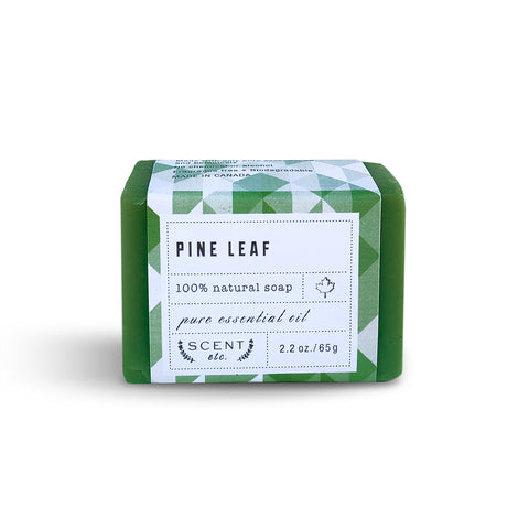 Pine Leaf soap mini soap