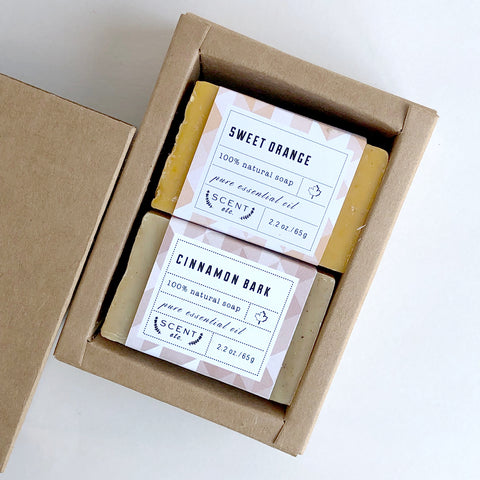 Orange Cinnamon soap set