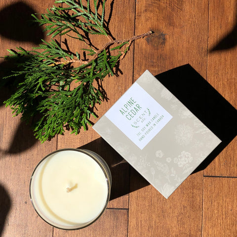 Alpine Cedar soy wax candle